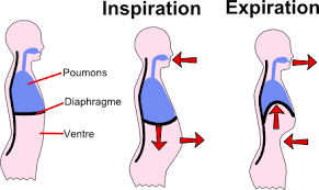 Fonctionnement du diaphragme